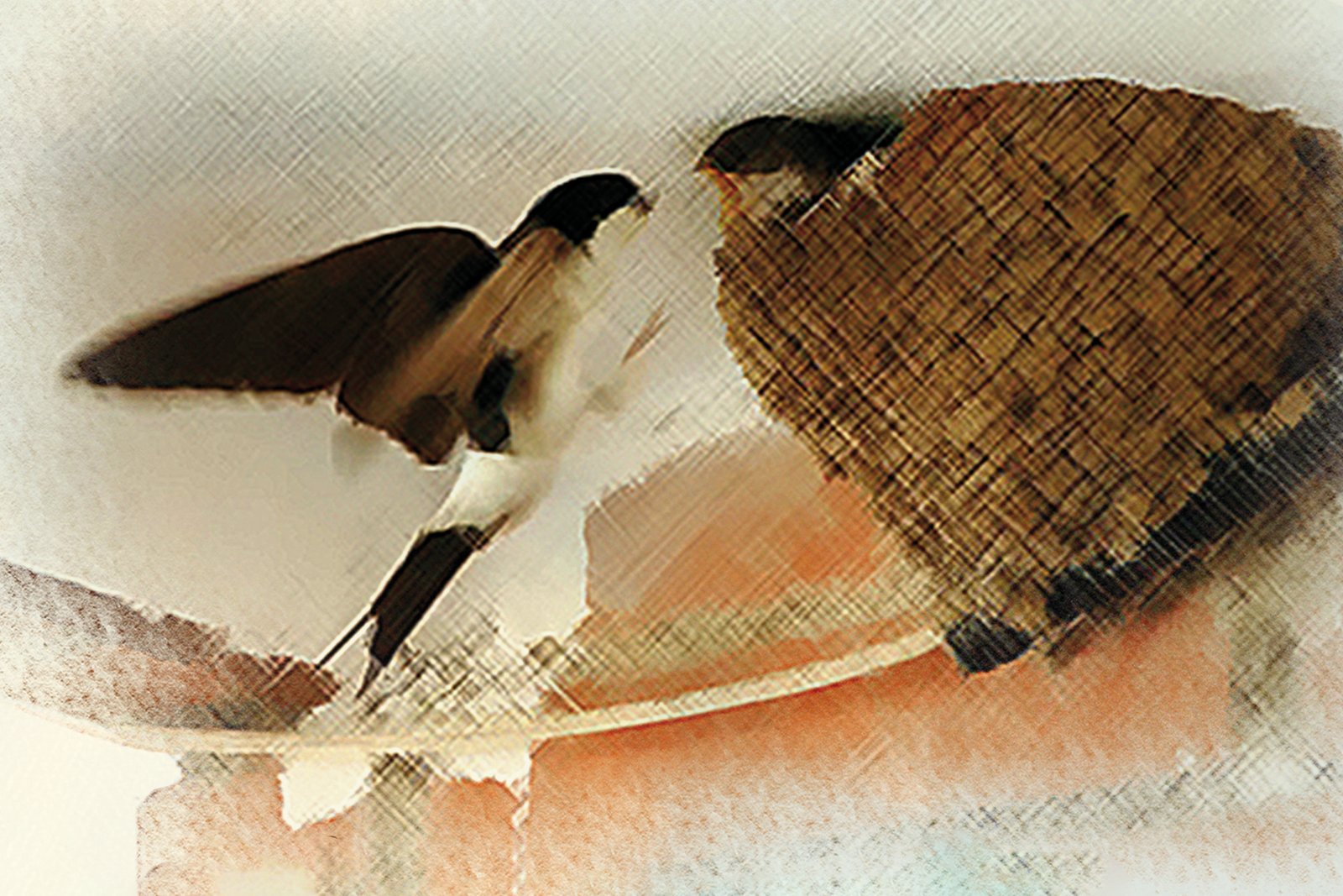 No destroces sus nidos